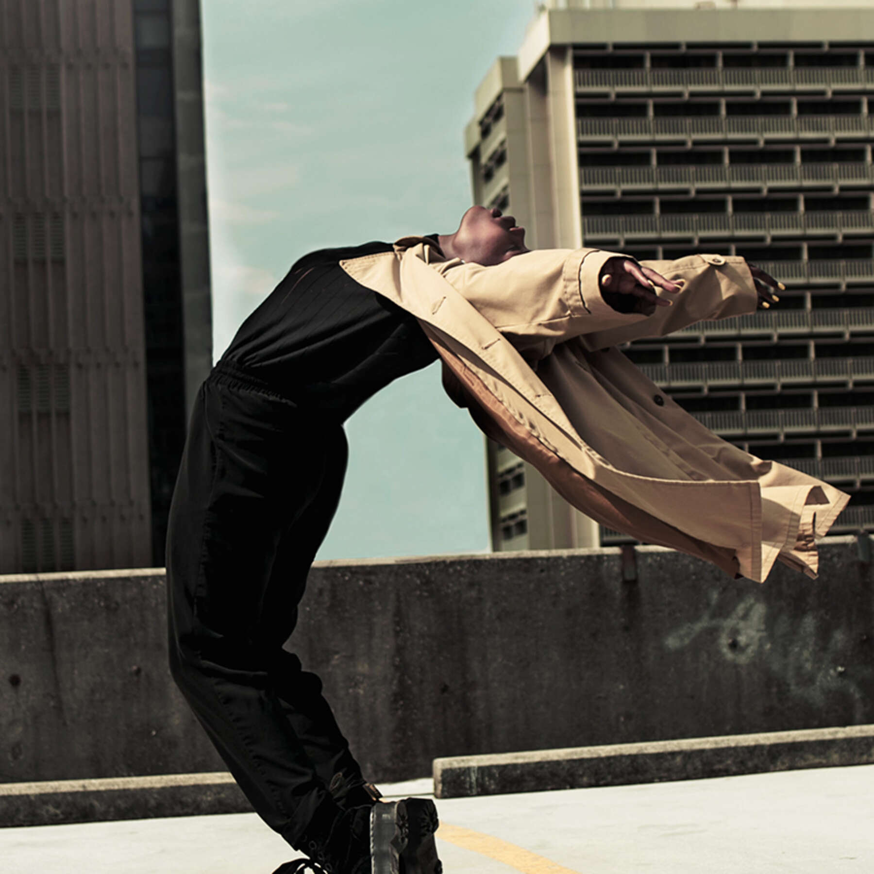 Descripción de la imagen